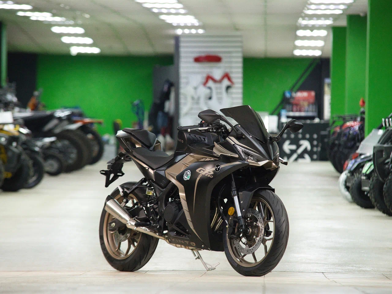 Мотоцикл VINTO GP250 (ПТС)