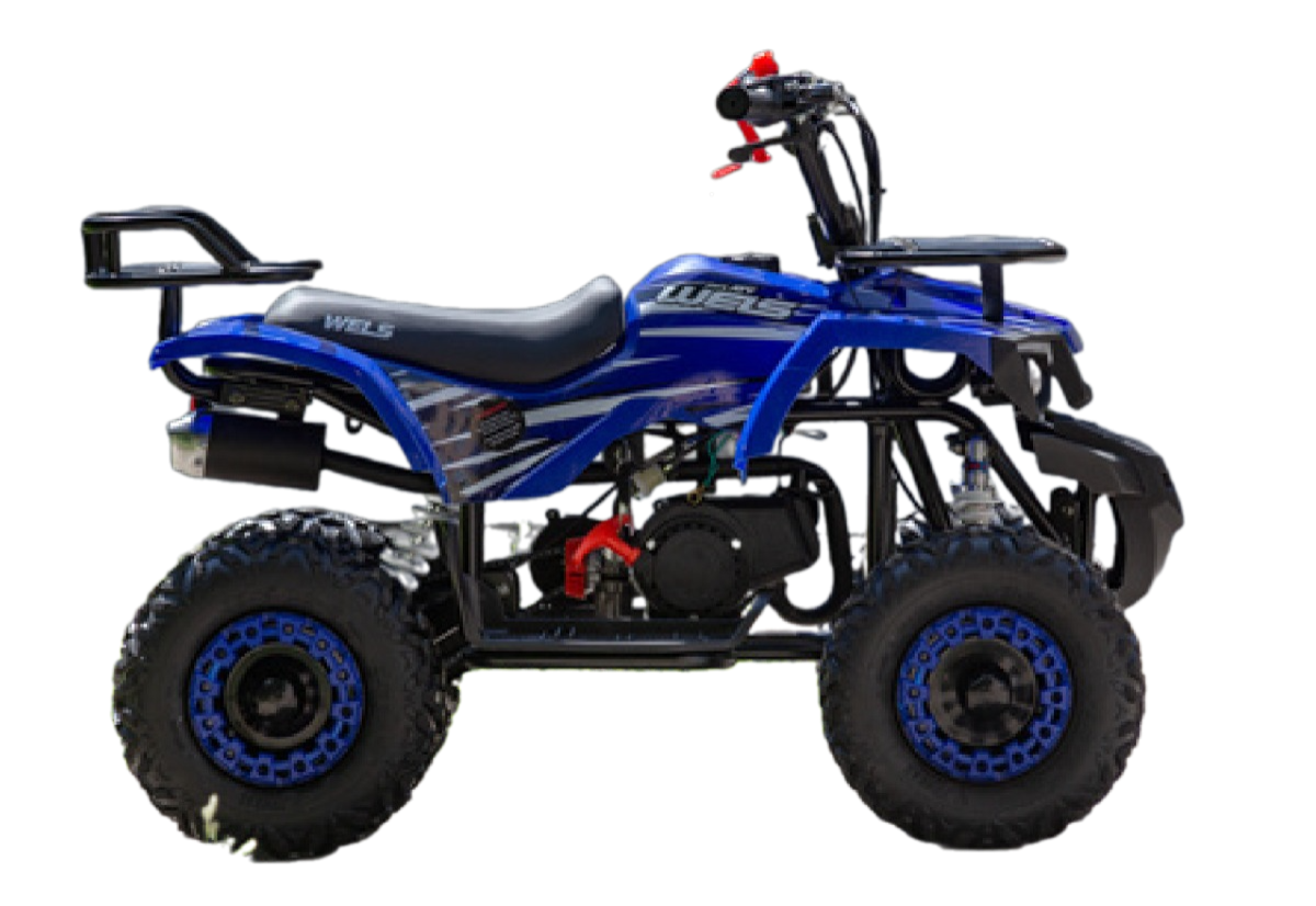 Квадроцикл Wels Thunder mini 2T