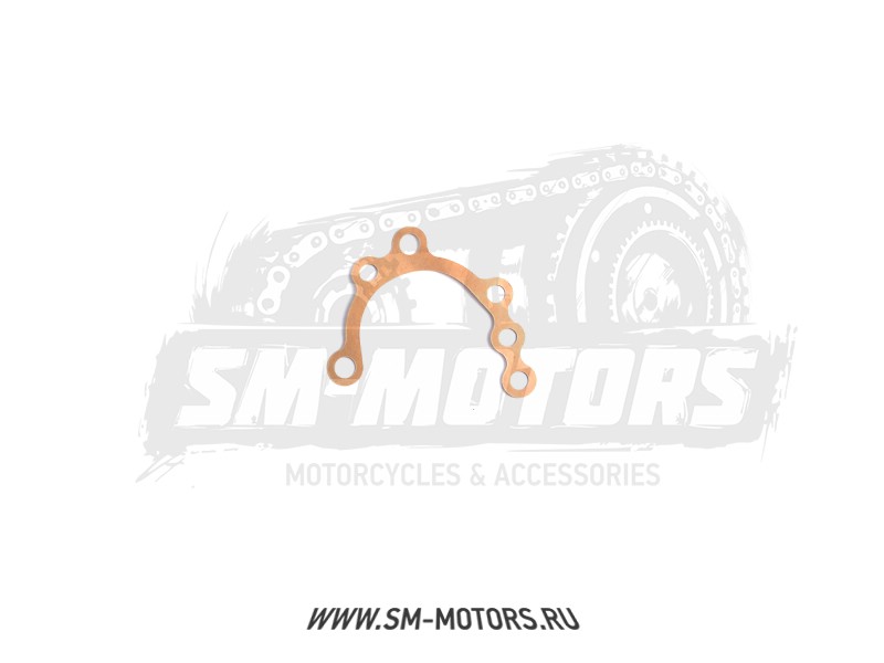 Прокладка масляного насоса YCF двиг. DAYTONA ANIMA