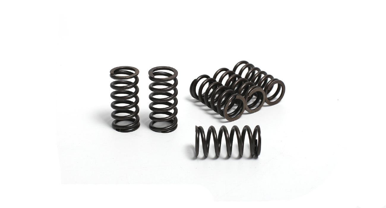 Комплект пружин сцепления (6шт.) 172FMM (165, 169, 174)