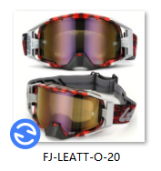 Очки Leatt Velocity 6.5 Enduro JW Red Clear 68%