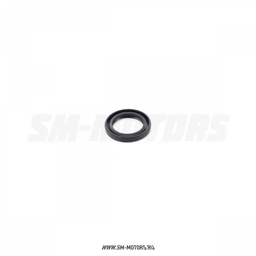 Сальник 26х38х5 GR7 двиг. MT-250 2T OEM